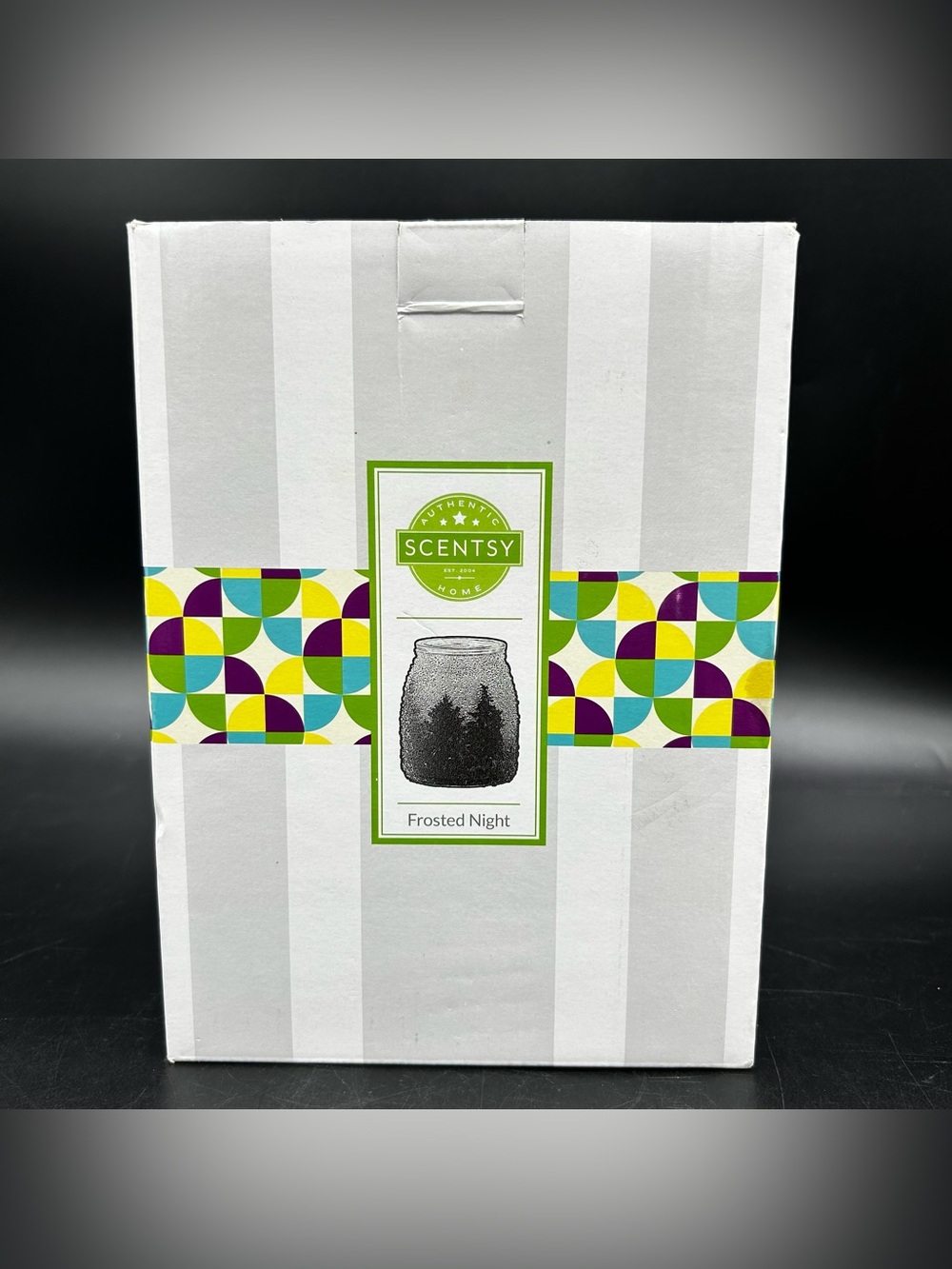 Scentsy Frosted Night Wax Warmer Walt Disney World Resort 25W New In Box